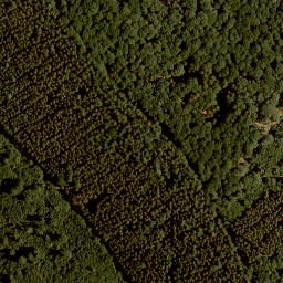 Satellite imagery of Forst Lohrerstraße-Lohr am Main-Neustadt am Main, FR