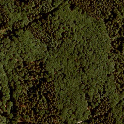 Satellite imagery of Steinener Bühl, DE