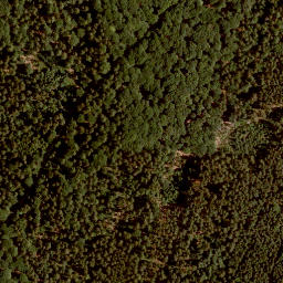 Satellite imagery of Steinener Bühl, DE