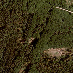 Satellite imagery of Steinener Bühl, DE