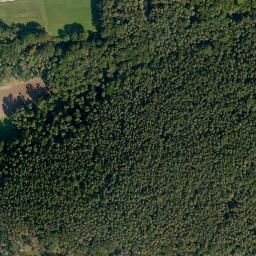 Satellite imagery of Kunkelsbühl, DE