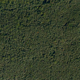 Satellite imagery of Kunkelsbühl, DE