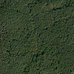 Satellite imagery of Kunkelsbühl, DE