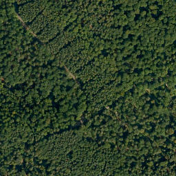 Satellite imagery of Semberg, DE