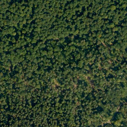 Satellite imagery of Semberg, DE