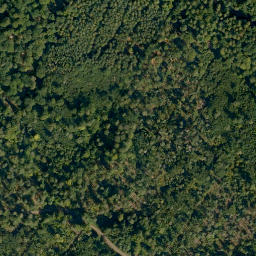 Satellite imagery of Semberg, DE