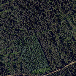 Satellite imagery of Bienhöhe, DE