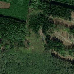 Satellite imagery of Pláňavy [Výprachtice] GSM, CZ