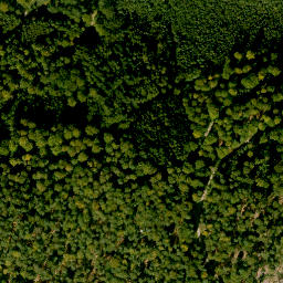 Satellite imagery of Birkenberg, DE