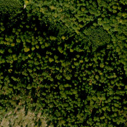 Satellite imagery of Birkenberg, DE