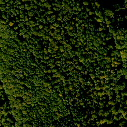 Satellite imagery of Birkenberg, DE