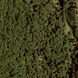 Satellite imagery of Kaulkopf, DE