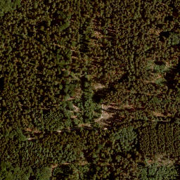 Satellite imagery of Steinener Bühl, DE