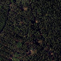 Satellite imagery of Heidelberg, DE