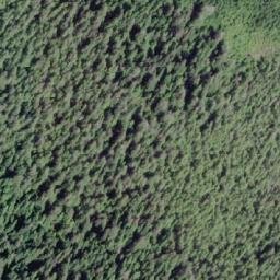 Satellite imagery of Gross Point, CA