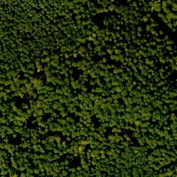 Satellite imagery of Königsberg, DE