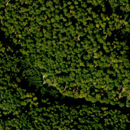 Satellite imagery of Königsberg, DE