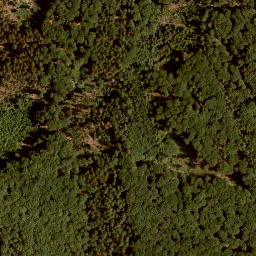 Satellite imagery of Lachberg, DE