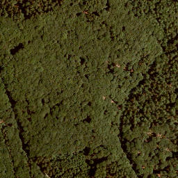 Satellite imagery of Lachberg, DE