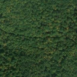 Satellite imagery of Kühkopf, DE