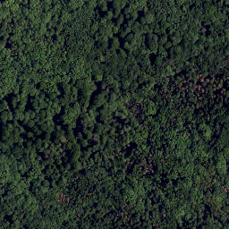 Satellite imagery of Großer Teichelberg, DE