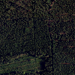 Satellite imagery of Heidelberg, DE