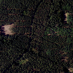 Satellite imagery of TP, CZ