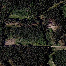 Satellite imagery of TP, CZ