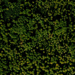 Satellite imagery of Weißensteiner Höhe, DE