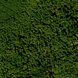 Satellite imagery of Königsberg, DE