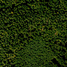 Satellite imagery of Königsberg, DE