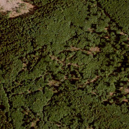 Satellite imagery of Klosterkuppel, DE