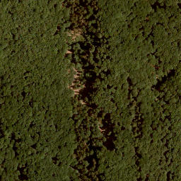 Satellite imagery of Lachberg, DE