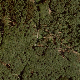 Satellite imagery of Lachberg, DE