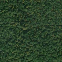 Satellite imagery of Kühkopf, DE