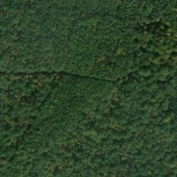 Satellite imagery of Kühkopf, DE