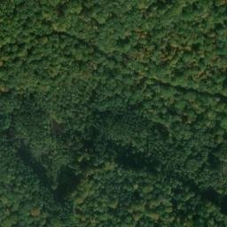 Satellite imagery of Kühkopf, DE