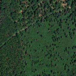 Satellite imagery of Dachsberg, DE