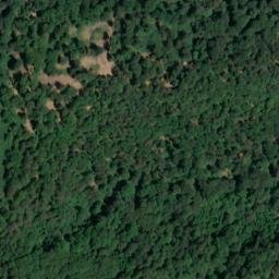 Satellite imagery of Dachsberg, DE