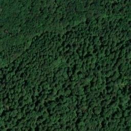 Satellite imagery of Beerberg, DE