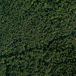 Satellite imagery of Gehäu, DE