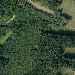 Satellite imagery of Burgstall, DE