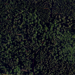 Satellite imagery of Heidelberg, DE