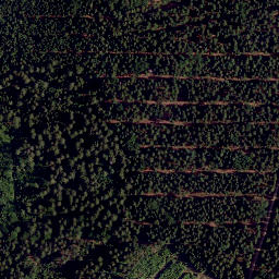 Satellite imagery of Heidelberg, DE