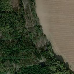 Satellite imagery of (Prachonoh) [Zásmuky] GSM, CZ