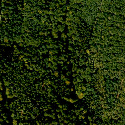 Satellite imagery of Steinberg, DE