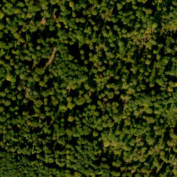 Satellite imagery of Weißensteiner Höhe, DE