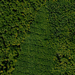 Satellite imagery of Königsberg, DE