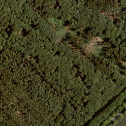 Satellite imagery of Lachberg, DE