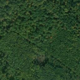 Satellite imagery of Kühkopf, DE